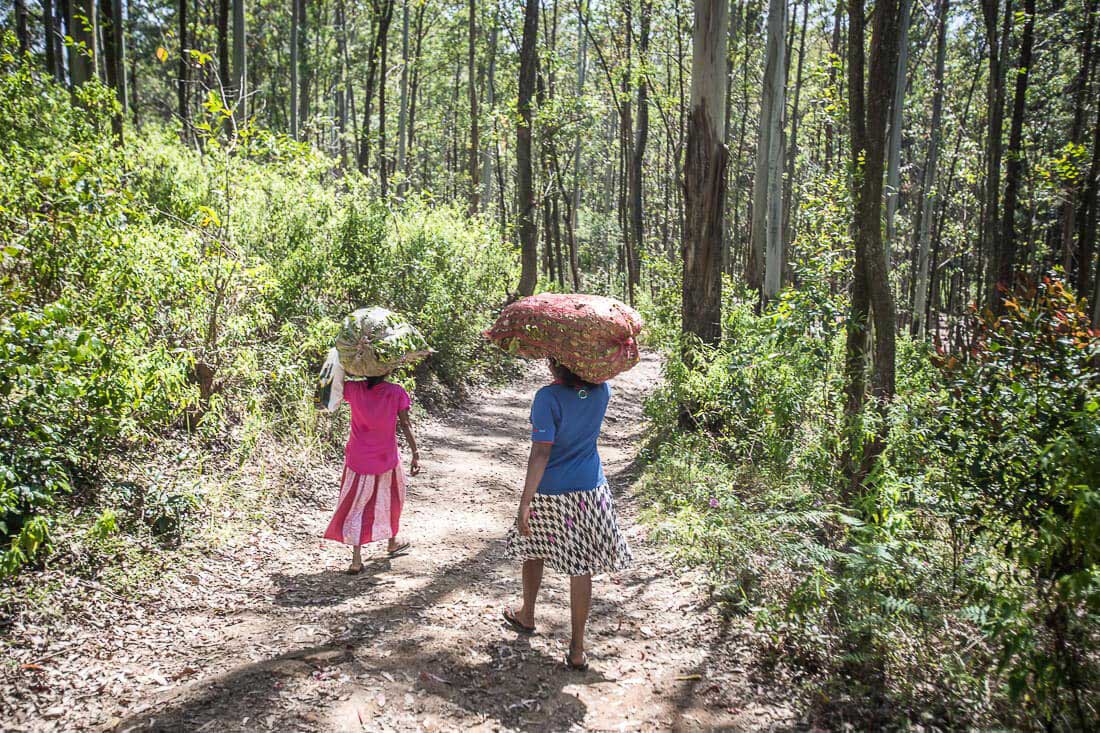 Teefplückerin in Sri Lanka