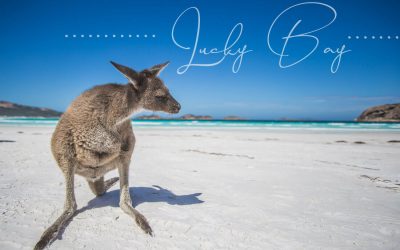 Lucky Bay – Der schönste Strand Australiens