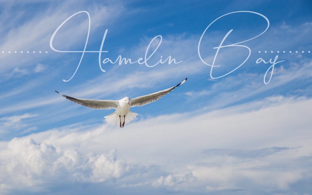 „Meer“ sehn´am Hamelin Bay