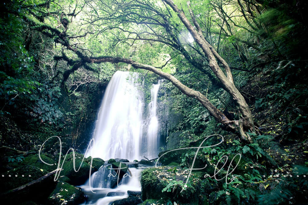 Matai Falls in Neuseeland