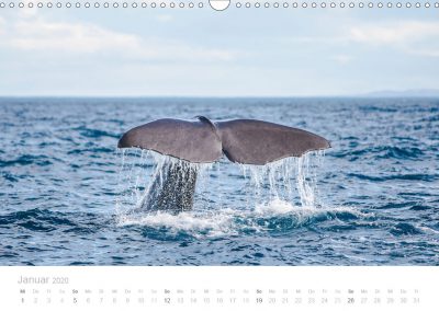 Neuseeland Kalender Januar