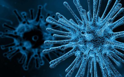 Coronavirus und Symptome