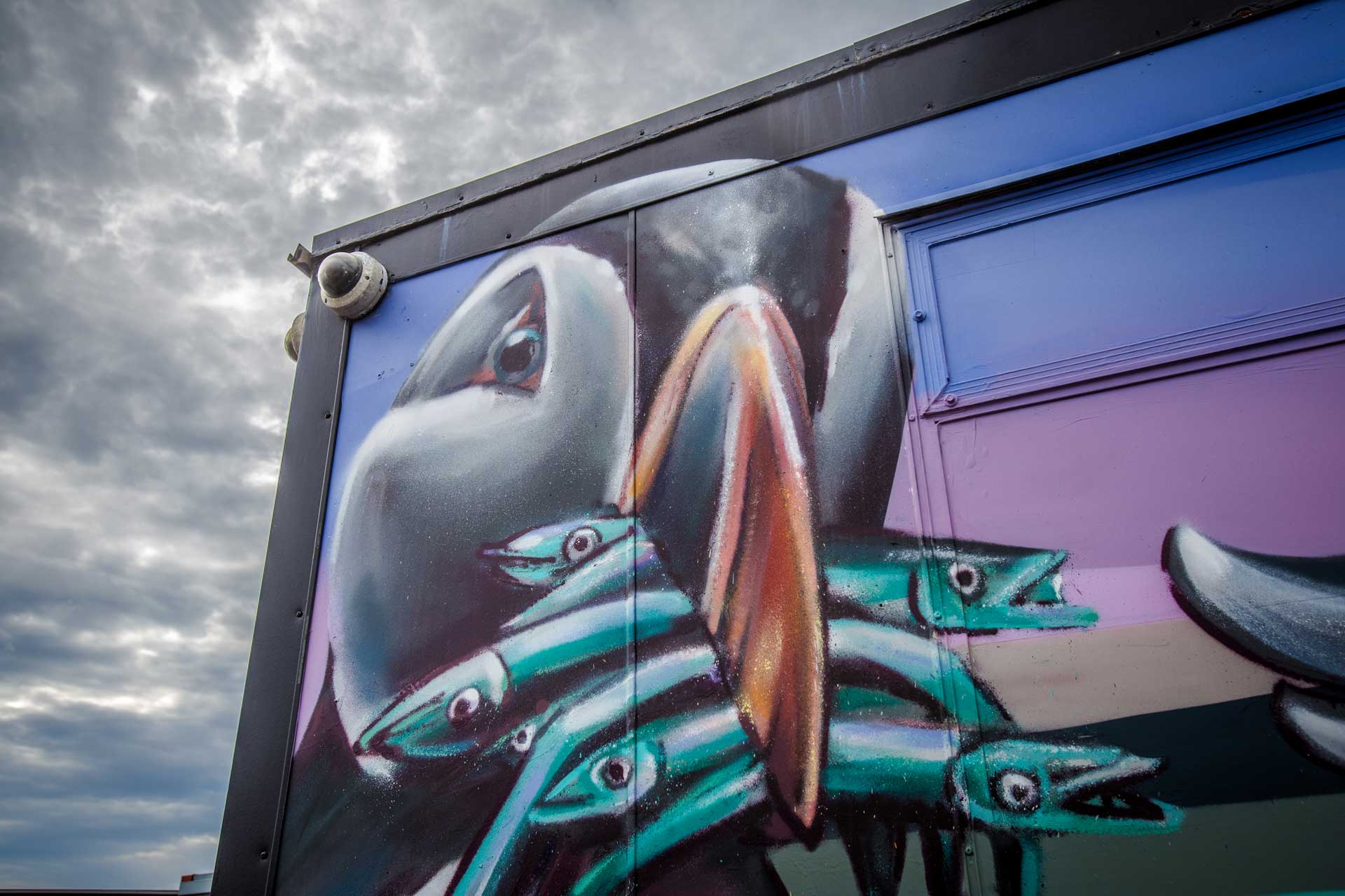 Irland-Doolin-pier-Hafen