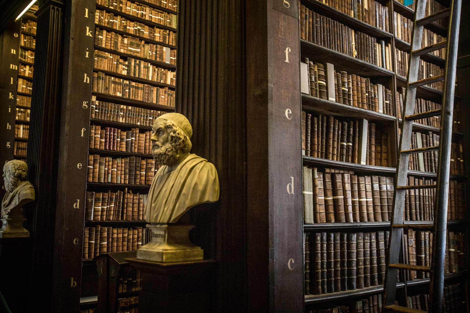 Dublin-College-Libary