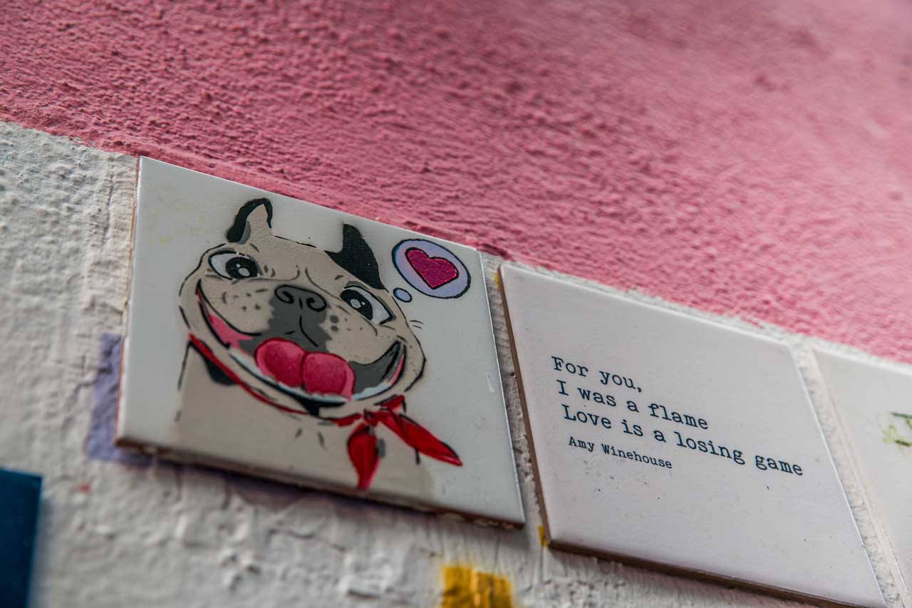 Dublin-Love-Lane-Mops