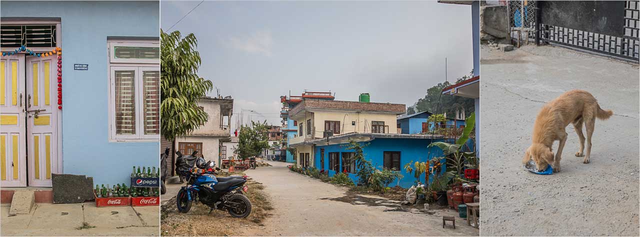 Häuser und ein Hund in der Stadt Ramecchap in Nepal