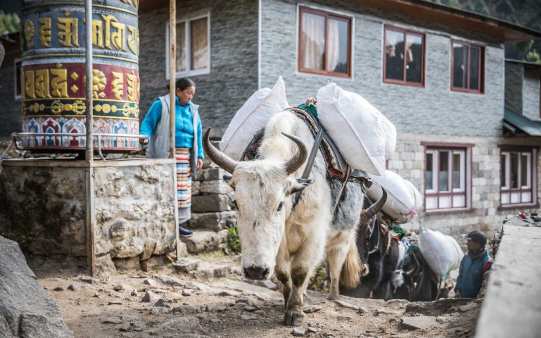 Namche Bazar – Tor zum Everest