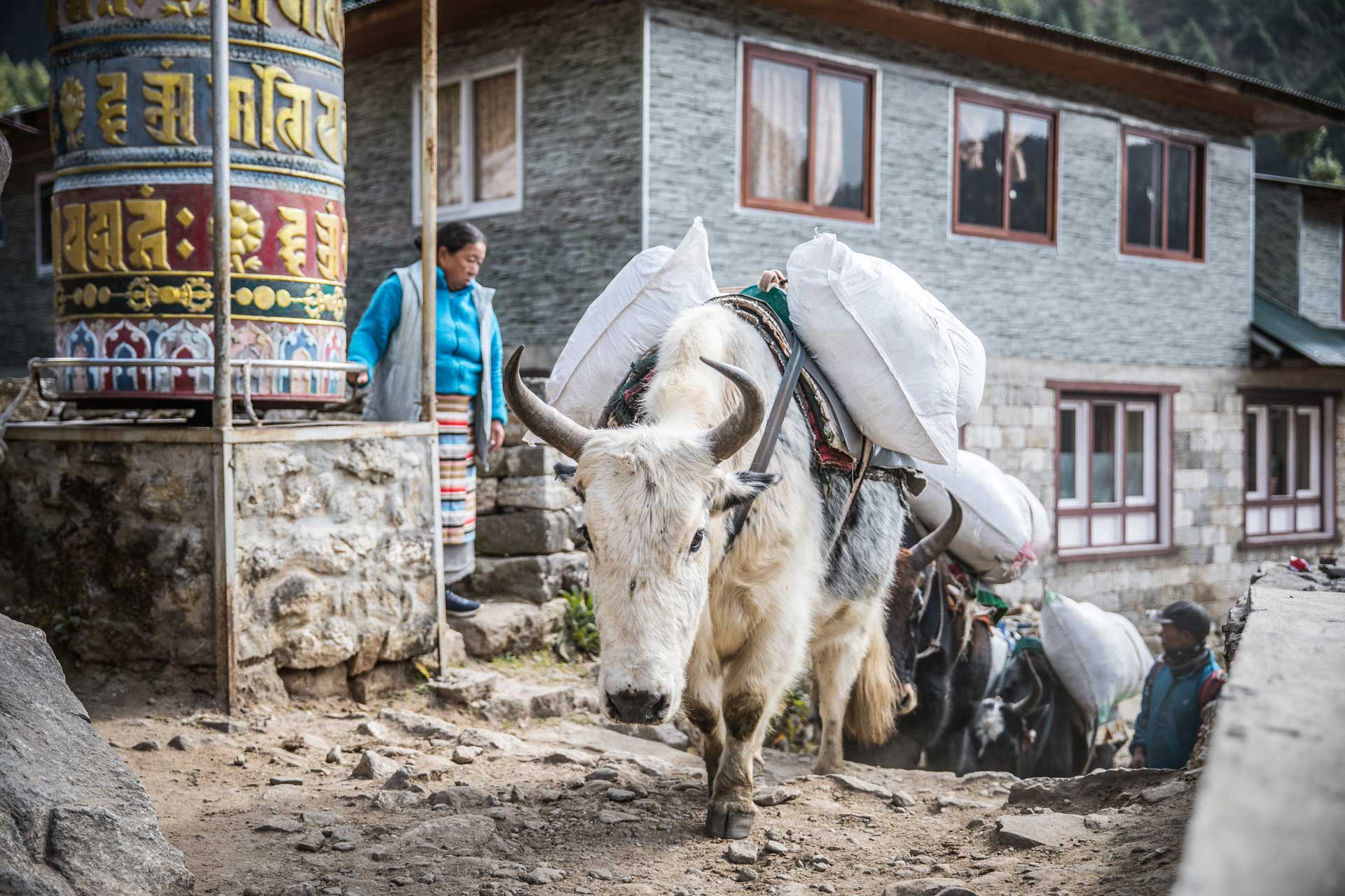 Namche Bazar – Tor zum Everest