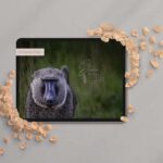 Wallpaper Juni Kalender 2027 – Dein Kalender für den Bildschirm 2 Portraitfoto von einem Pavian im Gras als Wallpaper auf einem iPad mit Kalender