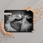 Elefantenohr von hinten als Kalender Wallpaper auf dem iPad