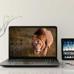 Bildschirmhintergrund Wallpaper Januar 2027