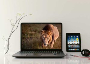 Bildschirmhintergrund Wallpaper Januar 2027