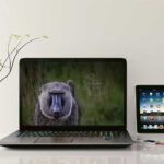 Wallpaper Juni Kalender 2027 – Dein Kalender für den Bildschirm 1 Wallpaper Juni Kalender 2027 – Dein Kalender für den Bildschirm 1