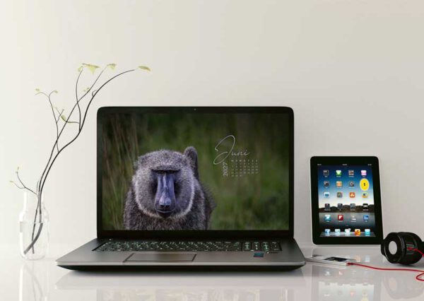Wallpaper Juni Kalender 2027 – Dein Kalender für den Bildschirm 4 Wallpaper Juni Kalender 2027 – Dein Kalender für den Bildschirm 2