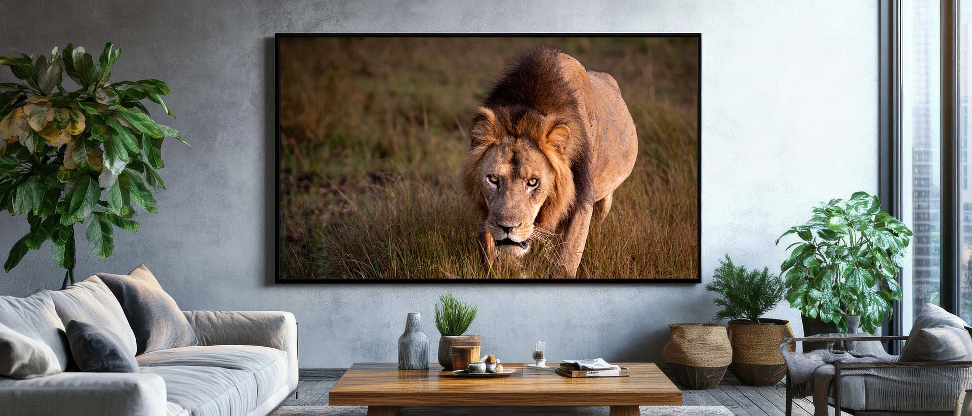 Wohnzimmer Wandbild mit laufendem Löwe mit Mähne in Afrika