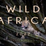 Afrika Kalender 2027 im DIN A3 Querformat mit beeindruckenden Tier- und Naturfotografien