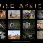 Übersicht aller Motive des Afrika Kalenders 2027 auf der Kalender-Rückseite