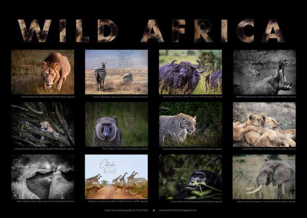 Übersicht aller Motive des Afrika Kalenders 2027 auf der Kalender-Rückseite